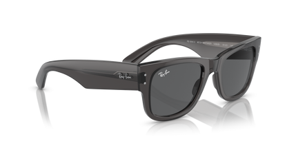 Ray Ban Classic Sunglasses